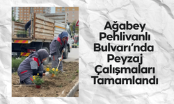 Ağabey Pehlivanlı Bulvarı’nda Peyzaj Çalışmaları Tamamlandı