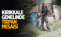 Kırıkkale Belediyesi'nden kent genelinde tırpan mesaisi