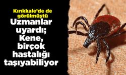 Uzmanlar uyardı; Kene, birçok hastalığı taşıyabiliyor