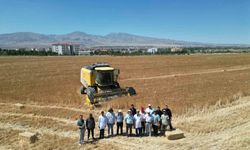 300 dekar arazide arpa ve buğday hasadı başladı
