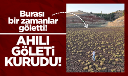 Kırıkkale’de kuraklığın acı yüzü: Ahılı Göleti kurudu