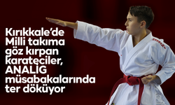 Milli takıma göz kırpan karateciler, ANALİG müsabakalarında ter döküyor