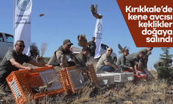 Kene avcısı keklikler doğaya salındı