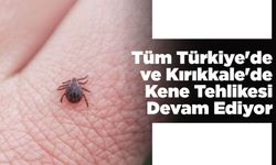 Tüm Türkiye'de ve Kırıkkale'de Kene Tehlikesi Devam Ediyor