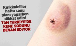 Tüm Türkiye’de Kene Tehlikesi Sürüyor!