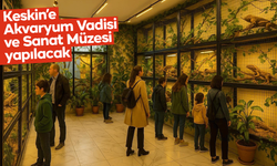 Keskin’e Akvaryum Vadisi ve Sanat Müzesi yapılacak
