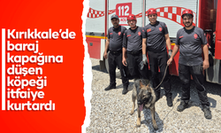 Kırıkkale’de baraj kapağına düşen köpeği itfaiye kurtardı