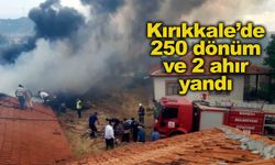 Kırıkkale’de 250 dönüm anız ve 2 ahır yandı