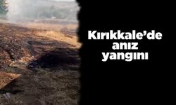 Kırıkkale’de anız yangını