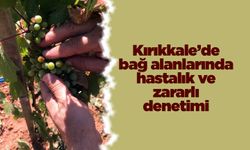 Kırıkkale’de bağ alanlarında hastalık ve zararlı denetimi