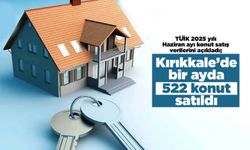 Kırıkkale’de bir ayda 522 konu satıldı
