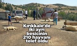 Kırıkkale'de iki ayrı besicinin 210 hayvanı telef oldu