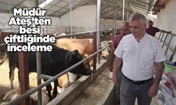 Müdür Ateş’ten besi çiftliğinde inceleme