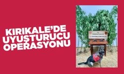 Kırıkkale'de Jandarmadan Uyuşturucu Operasyonu: Kenevir, Ruhsatsız Silah ve Sentetik Hap Ele Geçirildi