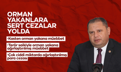 Orman yakanlara sert cezalar yolda