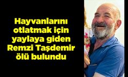 Hayvanlarını otlatmak için yaylaya giden Remzi Taşdemir ölü bulundu