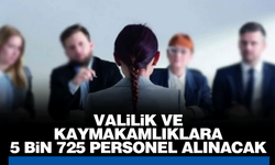 Valilik ve Kaymakamlıklara 5 Bin 725 Personel Alımı Yapılacak