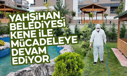 Yahşihan Belediyesi’nden kene uyarısı: “Erken önlem hayat kurtarır”
