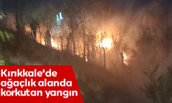 Kırıkkale'de ağaçlık alanda yangın