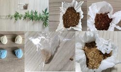 40 günde 213 bin şahıs sorgulandı