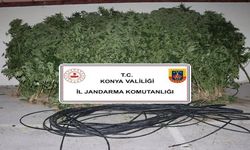 Jandarmadan uyuşturucu ve silah operasyonu