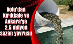 Bolu’dan Kırıkkale ve Ankara’ya 2.5 milyon sazan yavrusu