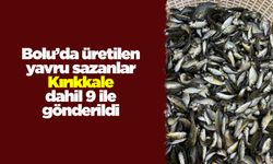Bolu’de üretilen yavru sazanlar Kırıkkale ve 8 ile gönderildi