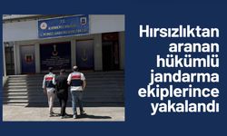 Hırsızlıktan aranan hükümlü jandarma ekiplerince yakalandı