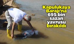 Kapulukaya Barajı’na 695 bin sazan yavrusu bırakıldı