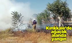 Kırıkkale’de ağaçlık alanda yangın