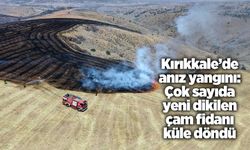 Kırıkkale’de anız yangını: Çok sayıda yeni dikilen çam fidanı küle döndü