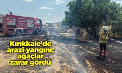 Kırıkkale’de arazi yangını; ağaçlar zarar gördü