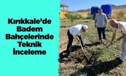 Kırıkkale’de Badem Bahçelerinde Teknik İnceleme