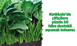 Kırıkkale’de çiftçilere yüzde 50 hibe destekli ıspanak tohumu