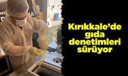 Kırıkkale’de gıda denetimleri sürüyor