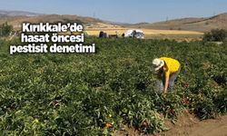 Kırıkkale’de hasat öncesi pestisit denetimi