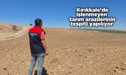 Kırıkkale’de işlenmeyen tarım arazilerinin tespiti yapılıyor