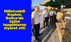 Milletvekili Kaplan, Delice’de üzüm tezgâhlarını ziyaret etti