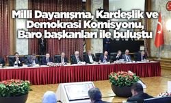 Milli Dayanışma, Kardeşlik ve Demokrasi Komisyonu, Baro başkanları ile buluştu