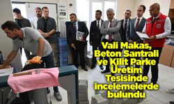 Vali Makas, Beton Santrali ve Kilit Parke Üretim Tesisinde incelemelerde bulundu