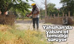 Yahşihan’da yabani ot temizliği sürüyor
