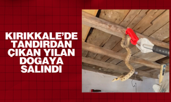Kırıkkale’de tandırdan çıkan yılan doğaya salındı