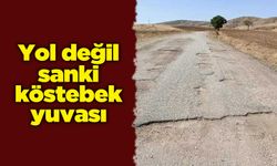 Yol değil sanki köstebek yuvası