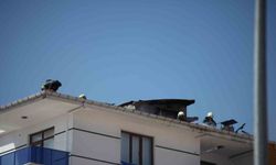 5 katlı apartmanda yangın paniği