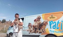 Belediye ekipleri nefes kesen operasyonla yavru köpeği kurtardı