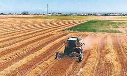 İşlenmeyen araziler kiralama modeliyle kırsal ekonomiye can verecek