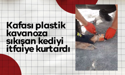 Kafası plastik kavanoza sıkışan kediyi itfaiye kurtardı