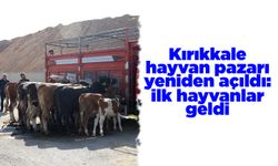 Kırıkkale hayvan pazarı yeniden açıldı: İlk hayvanlar geldi