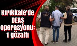 Kırıkkale'de DEAŞ operasyonu: 1 gözaltı