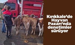 Kırıkkale’de Hayvan Pazarı’nda denetimler sürüyor